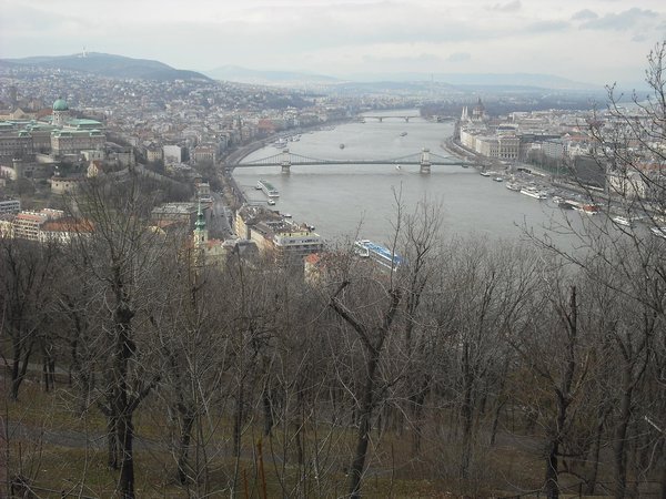 The mighty Danube