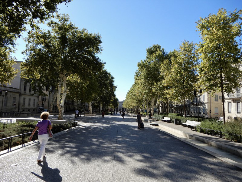 The Walk From the Train Station Leading into Nimes