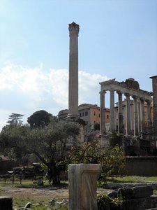 A View While Wandering Through the Forum