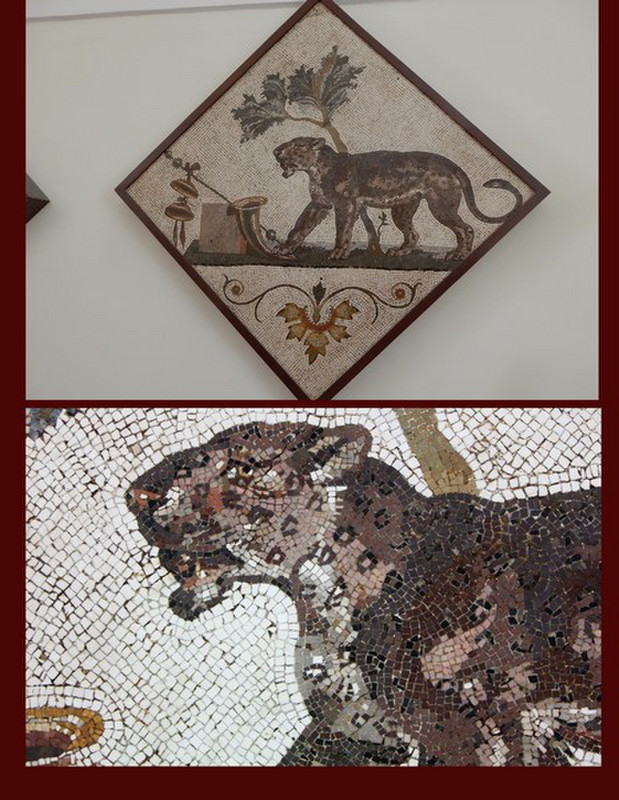 The Details & Colors of Mosaics Were Captured