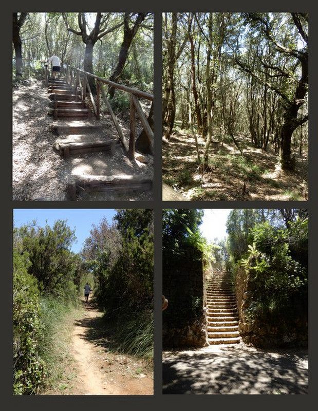 Lots of Trails to Walk & Stairs to Climb