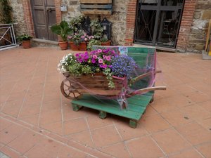 An Entry in the Flower Competition in Agropolis