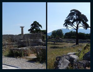 A Couple More Views at Paestum
