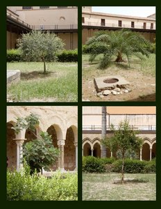 4 Gardens in the Cloister - the Fig, Pomegranate, Olive & Palm