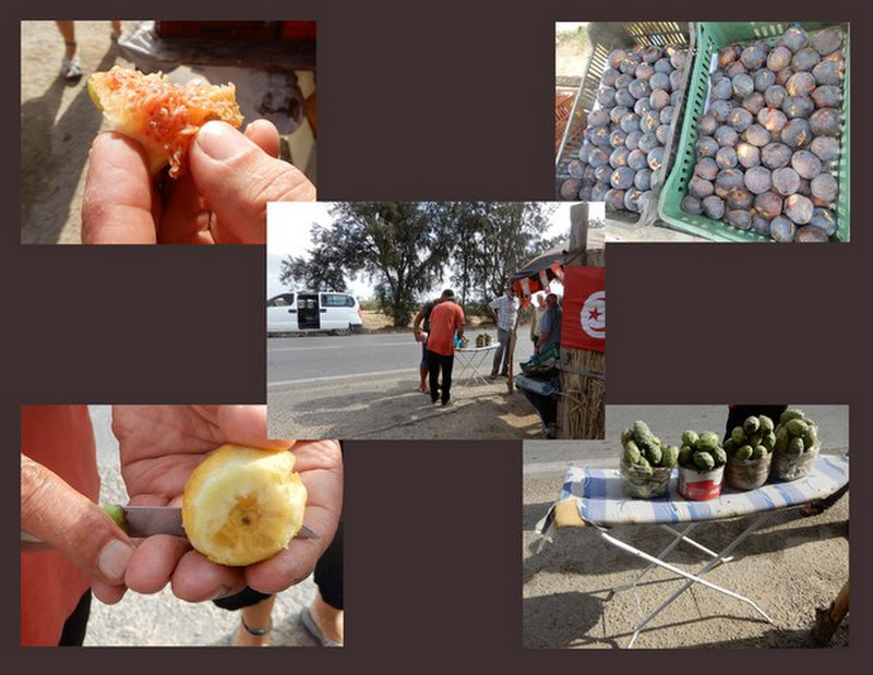Stopped At a Roadside Stand for Fresh Figs & Prickly Pear