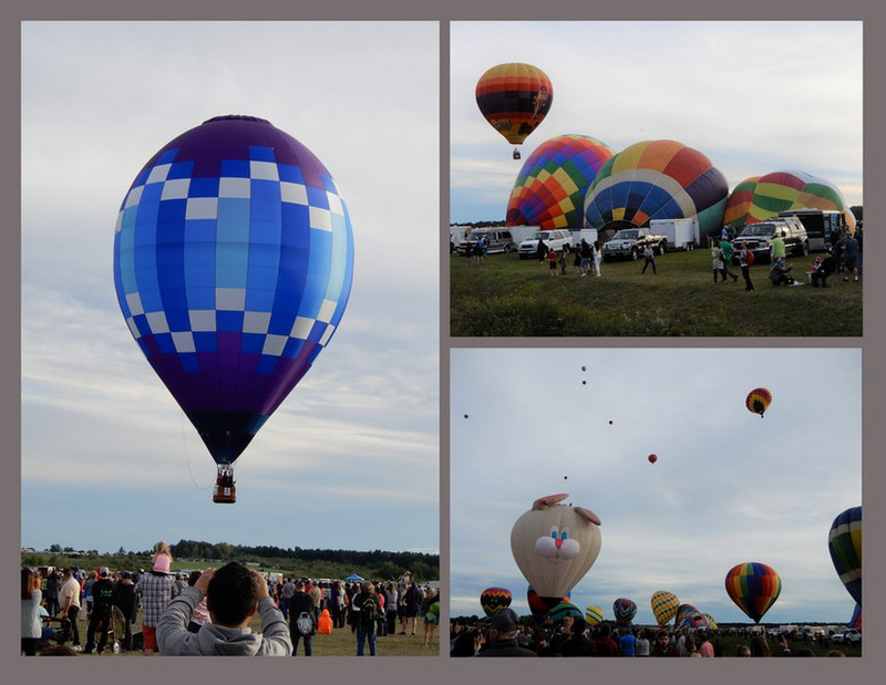 Just a Few of the Balloons At the Festival
