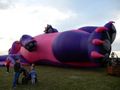 A Very Large Dinosaur Balloon!