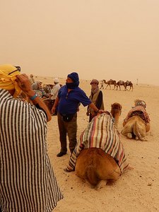 Getting Instructions on How to Get On the Camel