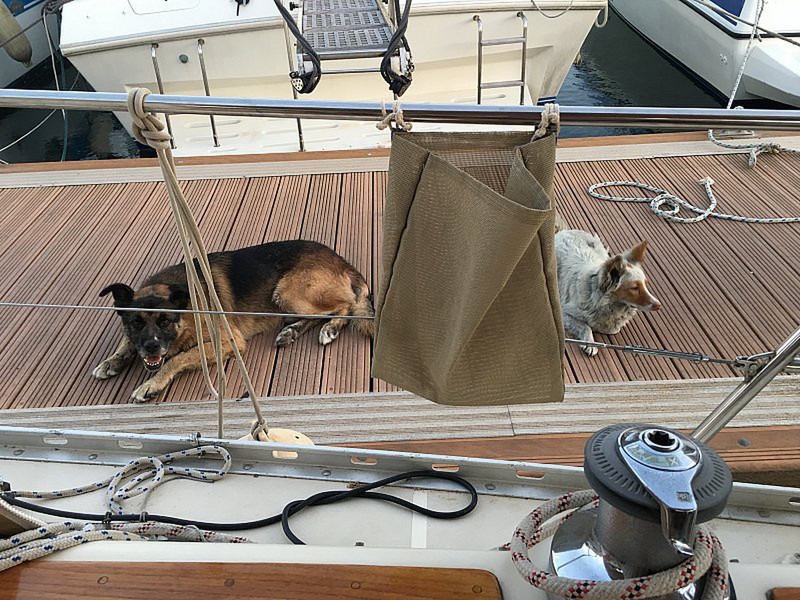 The "Guard Dogs" at the Boatyard