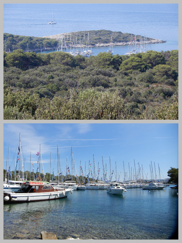 Saw a "Flotilla" of boats anchored Out, Then in the Marina