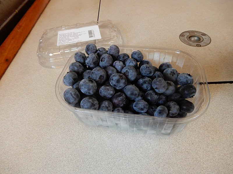 Enjoyed a Treat of Blueberries!