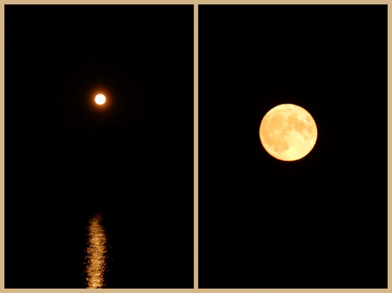 Enjoying Moon Lite Evenings