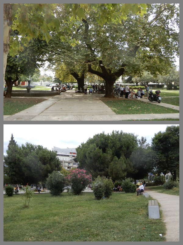Enjoyed Seeing Numerous Green Spaces in Tirana