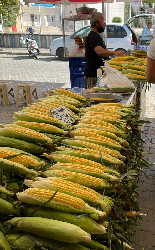Corn on the Cob  - Boiled or Grilled