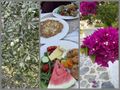 Olive Tree, Bougainvillea & Our First Turkish Breakfast!