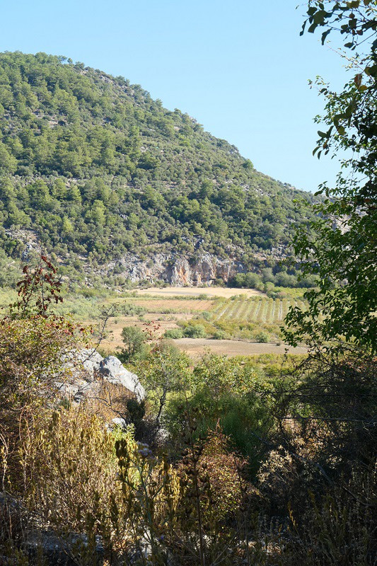 View of the Valley from the Temple