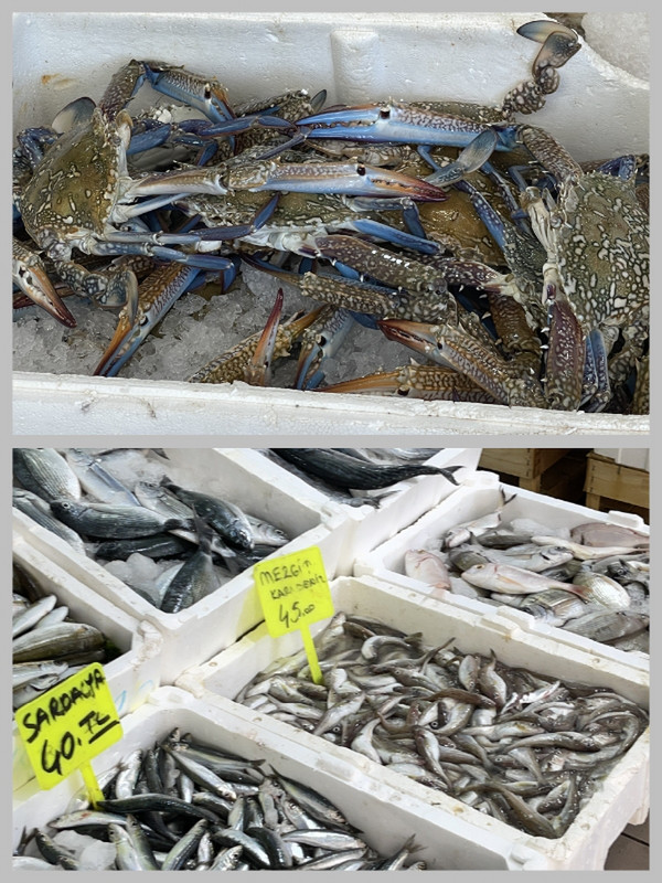 Blue Crab and Plenty of Variety at the Fish Market