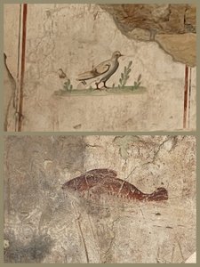 Birds and Fish Featured in the Friezes