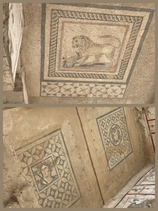 Details in the Mosaics Found in the Terrace House