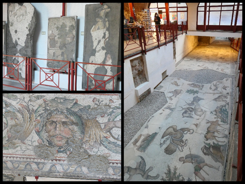 Wonderful Mosaics and Lots to Learn 