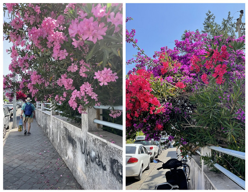 Enjoy Walking the Streets and Enjoying the Color