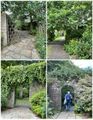"The Secret Garden" in Seaton Park
