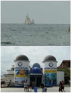 Sailing the Coast or Visiting an Aquarium