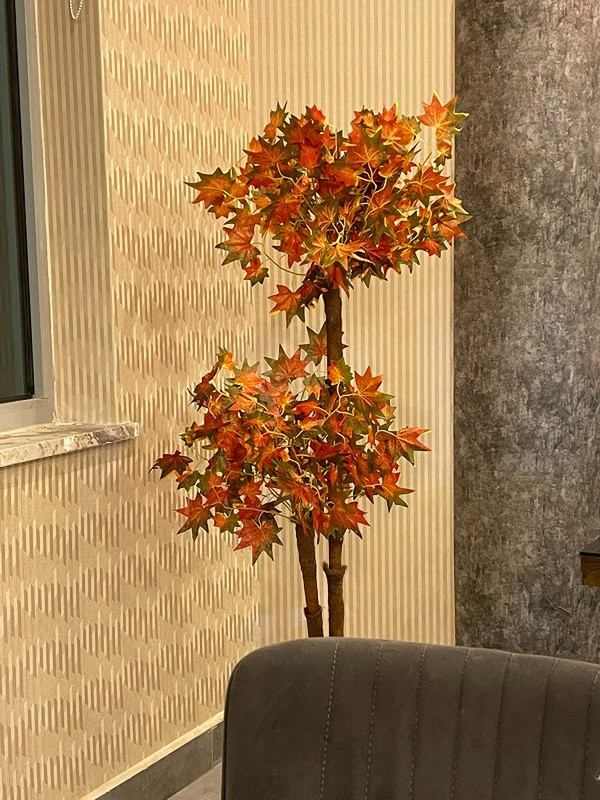 In the Dining Area of the Hotel - Autumn Color??