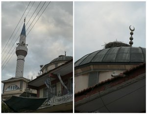 Notice the Bird Nest on the Top of the Mosque