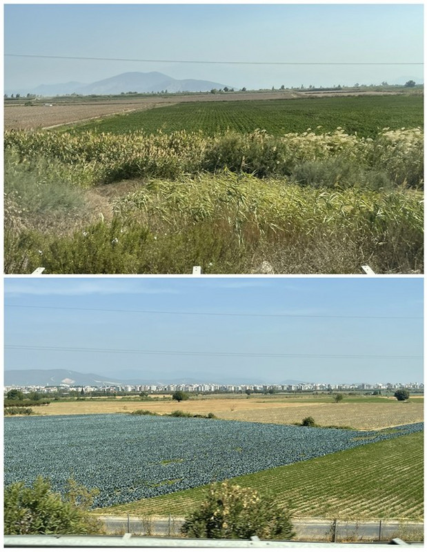 Saw Lots of Agricultural Activity on the Way to Izmir