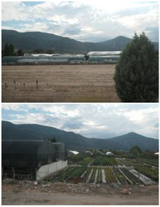 Numerous Greenhouses Are Used Here As Well