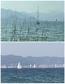 One Day There Was Quite the Sailboat Race 