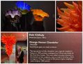 An Exhibit of Chihuly Glass Work at the Fine Arts Center