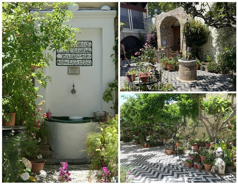 The Gardens Surrounding the Moslem Library