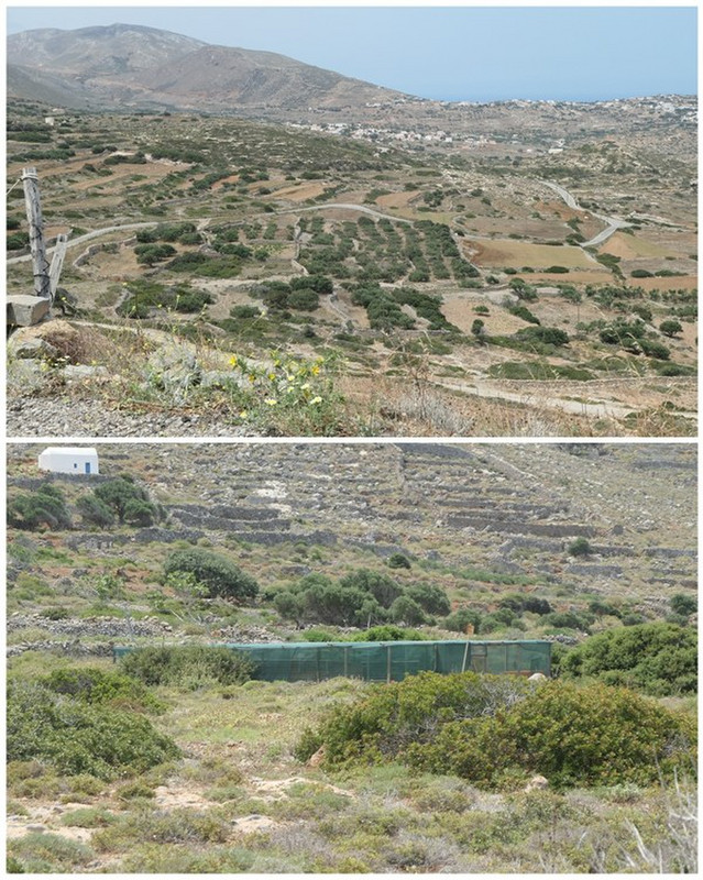 Nethouses and Signs of Agriculture on Barren Hills