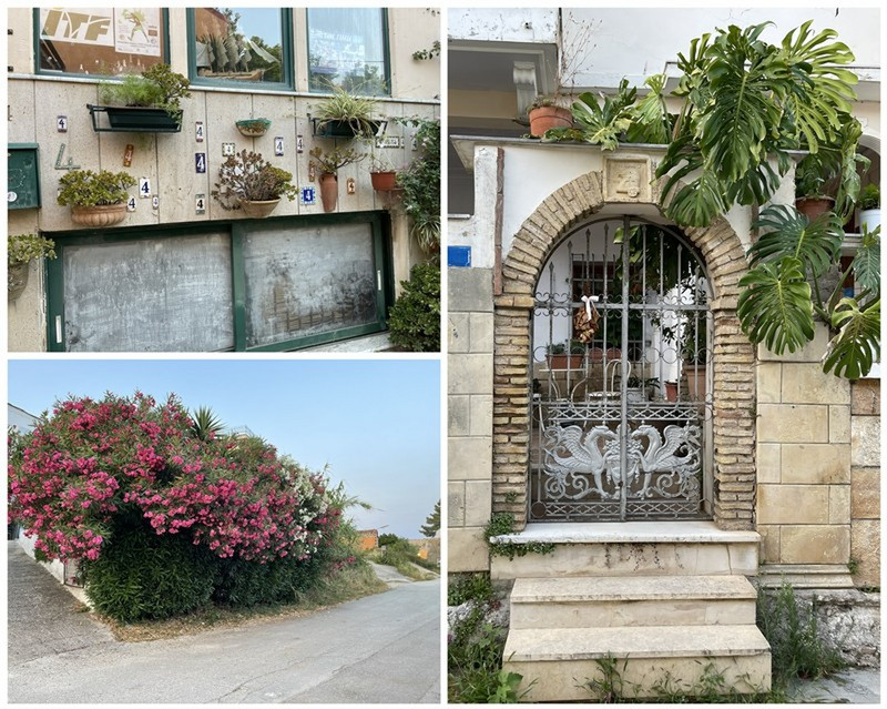 Love How Flora Is Important Here in Greece