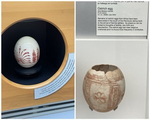 Ostrich Eggs From Africa Tell About the Trade Areas