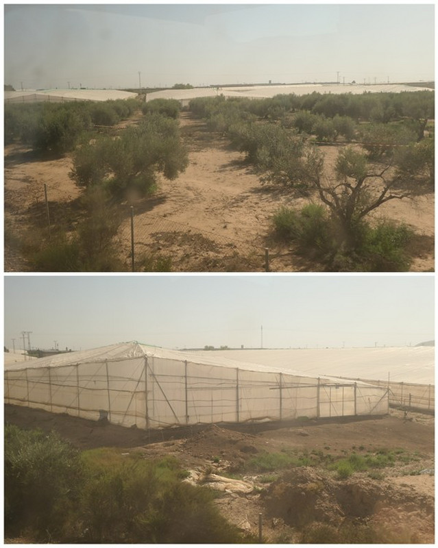 Greenhouses and Nets Were Seen In Large Number