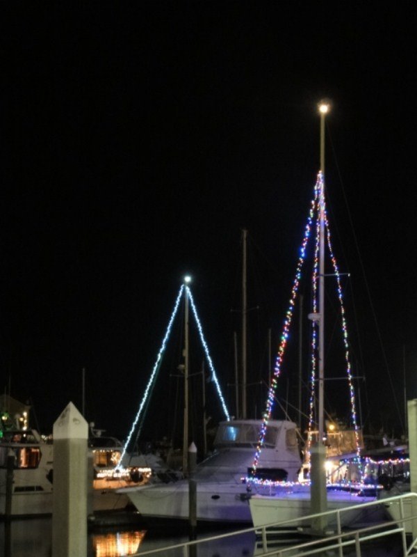 Decorating for Christmas in the Marina