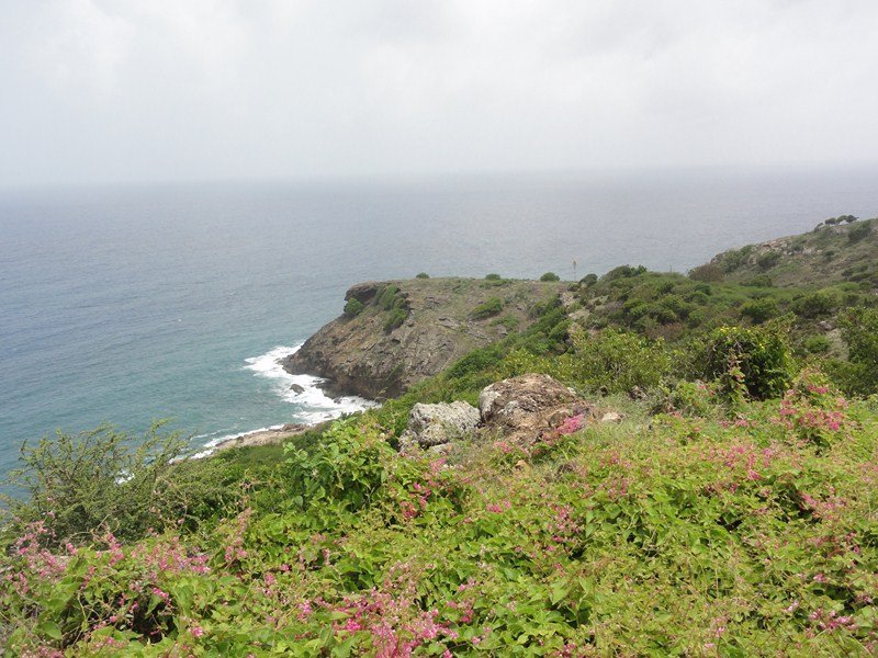 Shoreline of Antigua