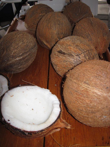 Part of our Coconut Stash