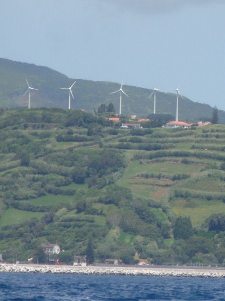 Wind Power in Use