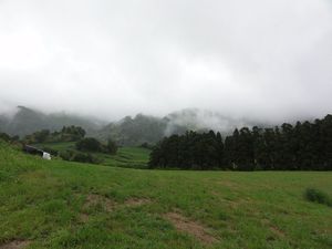 Farm Land & Rolling Hills