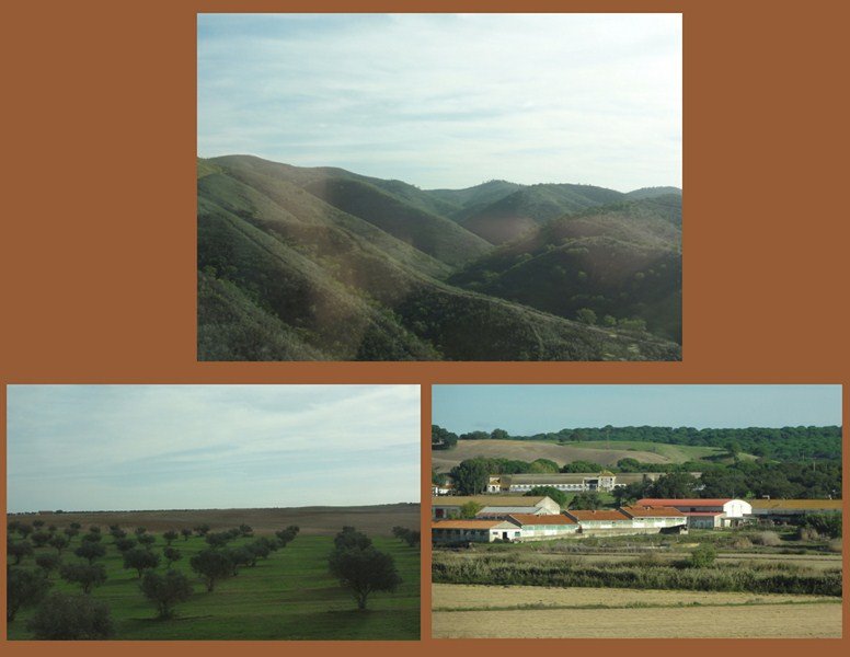 The Portugal Countryside