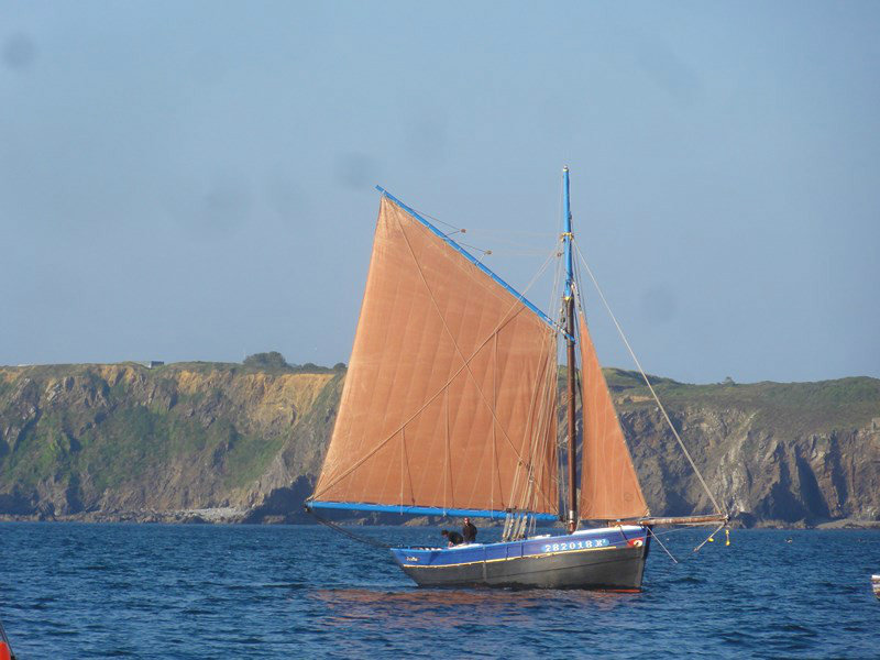 Traditional Sailboat Regatta