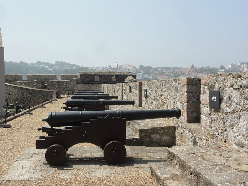 What Fortress Doesn't have Cannons?