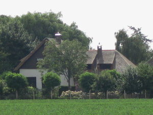 A Thatched Roof