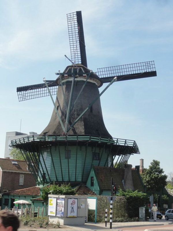One of Many Windmills