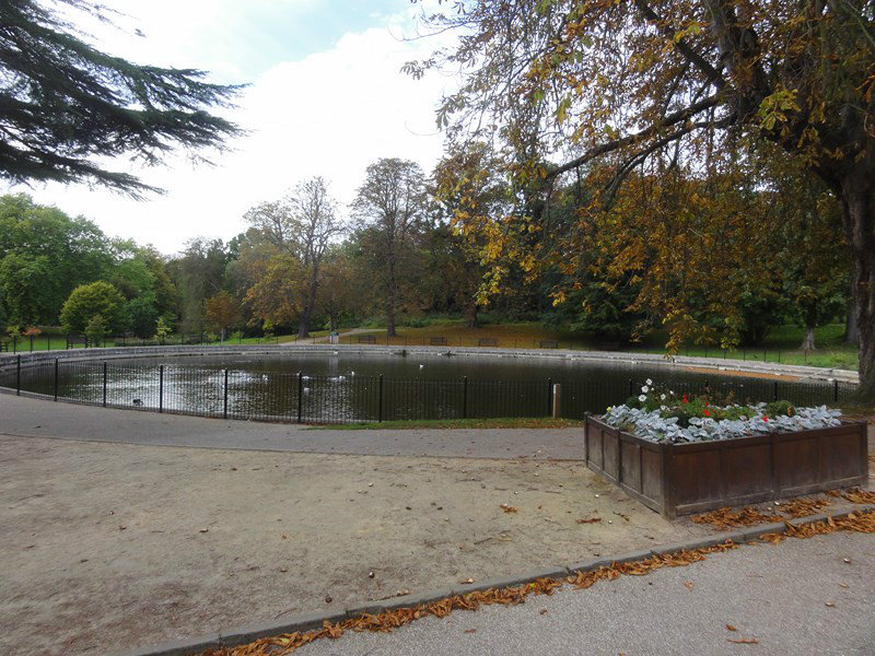 The Pond 