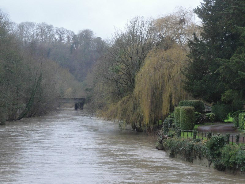 A View of the Avon River